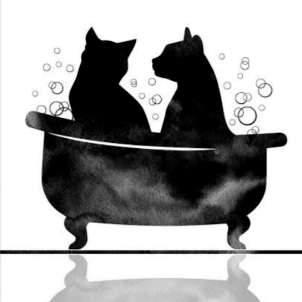 Black Cat & Bath Co.